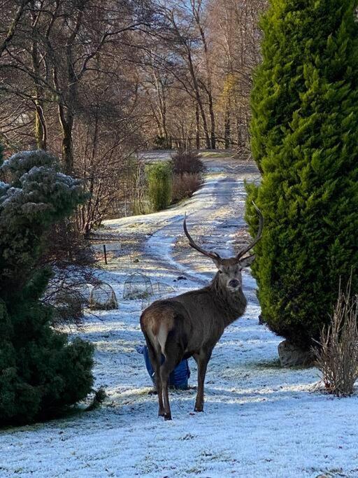 Tarmachan Cottage - West Highland Getaway ฟอร์ตวิลเลียม ภายนอก รูปภาพ